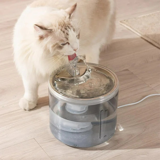 Combo Fuente Hídrica para Mascotas + Cepillo Vaporizador 3 en 1